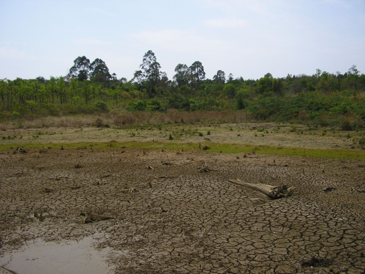 Lago Mayaca seco